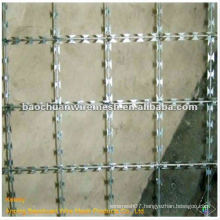 Hot dip galvanized BTO-12 protecting Prison Fence